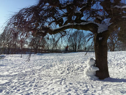Også snømenn gir gladelig en klem til trær