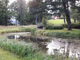 En liten damm i parken til Bogstad gård bidrar til å finne ro sammen med GetOut coachen 