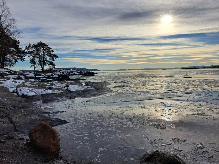 Oslo fjorden om vinteren for klare tanker på en GetOut coaching